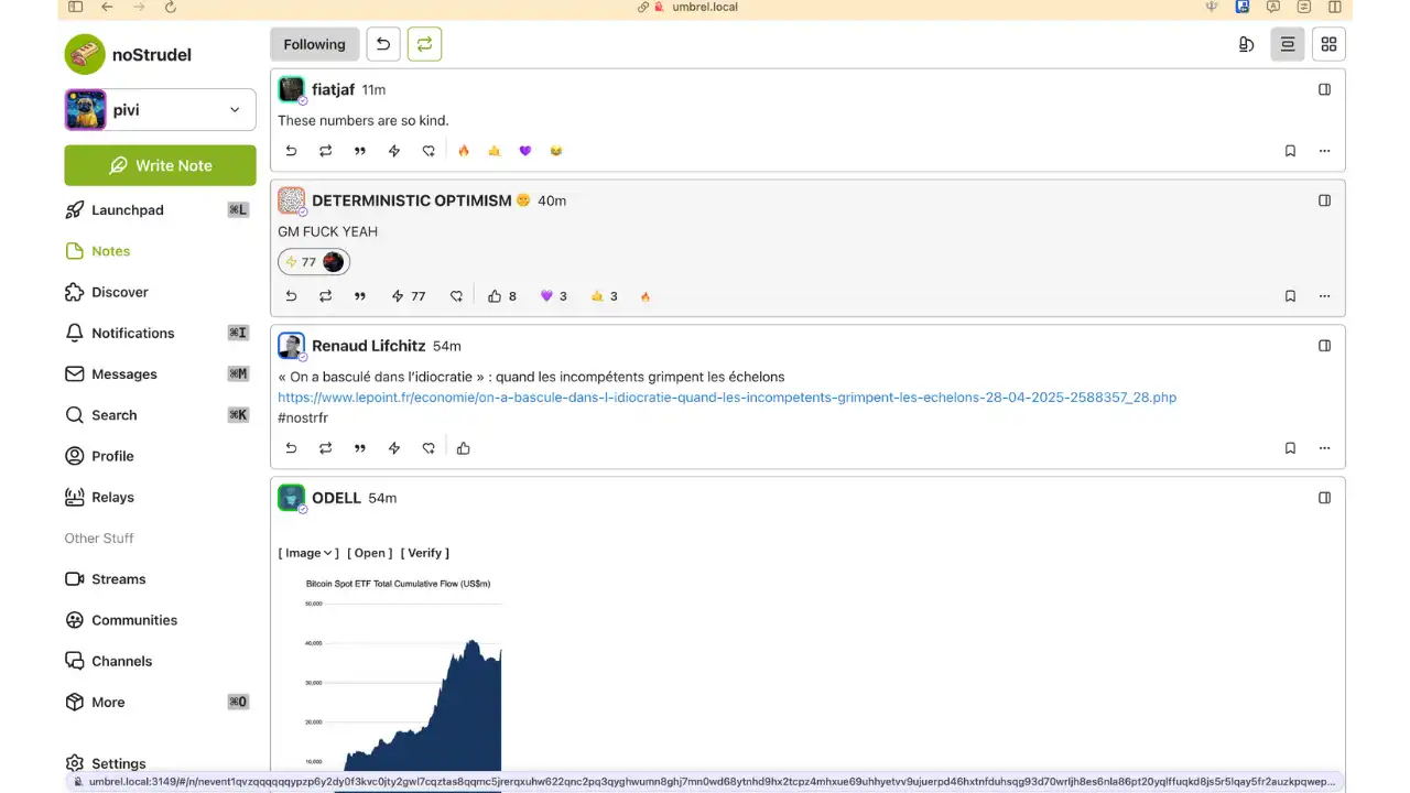 Interface principale de noStrudel